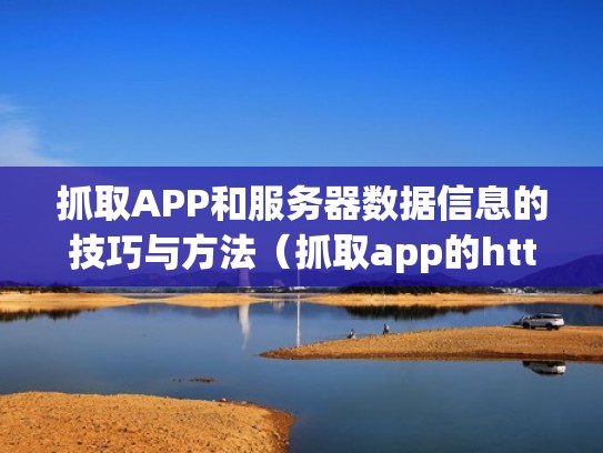 抓取APP和服务器数据信息的技巧与方法（抓取app的http连接）