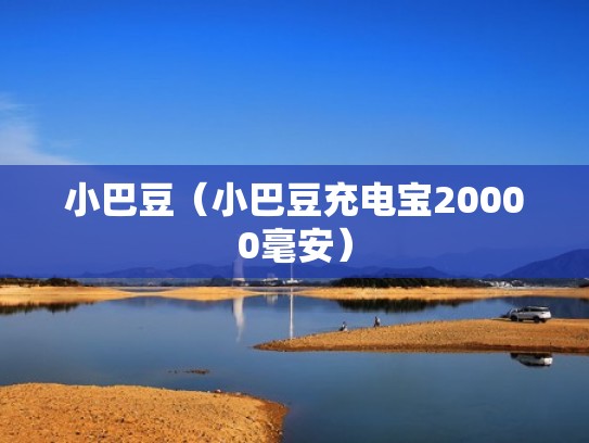 小巴豆（小巴豆充电宝20000毫安）