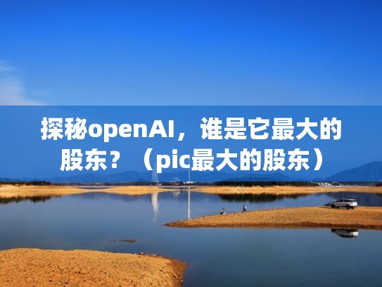 探秘openAI，谁是它最大的股东？（pic最大的股东）