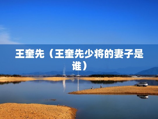 王奎先（王奎先少将的妻子是谁）