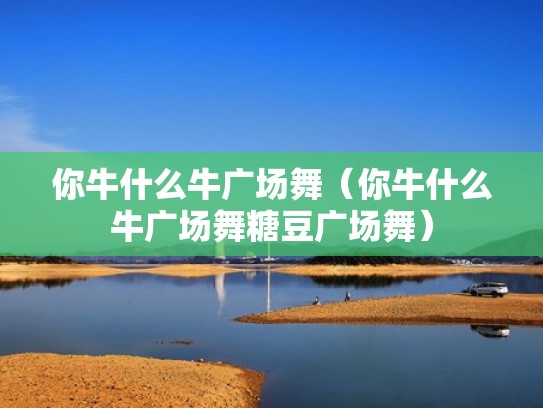 你牛什么牛广场舞（你牛什么牛广场舞糖豆广场舞）