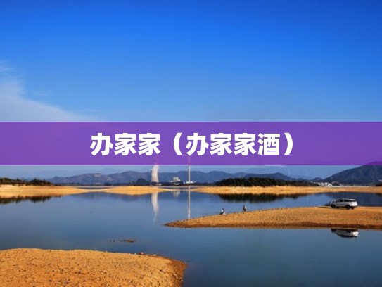 办家家(办家家酒) 办家家(办家家酒)