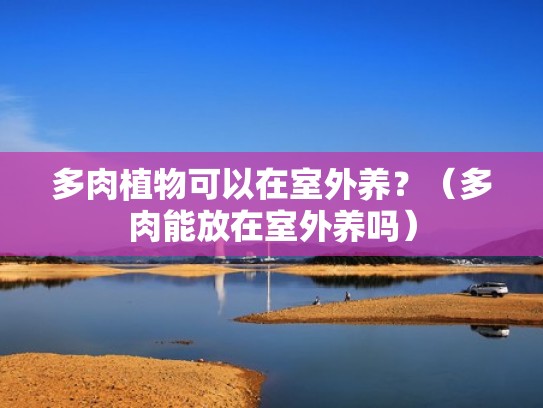 多肉植物可以在室外养？（多肉能放在室外养吗）
