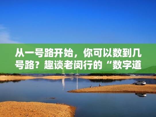 从一号路开始，你可以数到几号路？趣谈老闵行的“数字道路”（老闵行一号路由来）