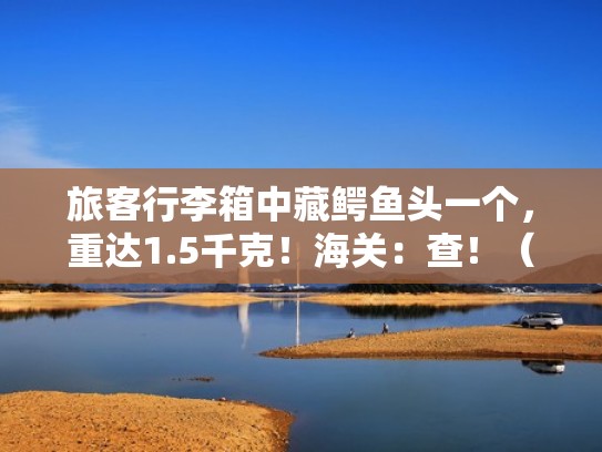 旅客行李箱中藏鳄鱼头一个，重达1.5千克！海关：查！（鳄鱼恤行李箱怎么样）