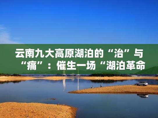 云南九大高原湖泊的“治”与“痛”：催生一场“湖泊革命”（云南九大高原湖泊治理）