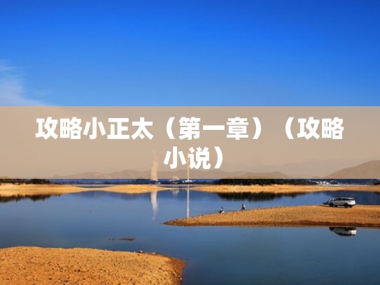 攻略小正太（第一章）（攻略 小说）