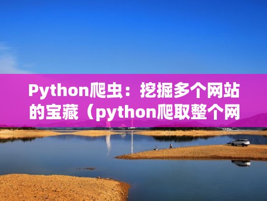 Python爬虫：挖掘多个网站的宝藏（python爬取整个网站）