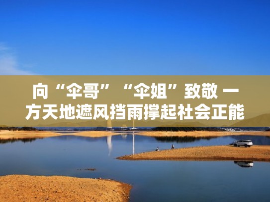 向“伞哥”“伞姐”致敬 一方天地遮风挡雨撑起社会正能量(伞哥喜欢霙吗) 向“伞哥”“伞姐”致敬 一方天地遮风挡雨撑起社会正能量(伞哥喜欢霙吗)