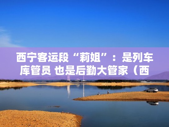 西宁客运段“莉姐”：是列车库管员 也是后勤大管家（西宁客运段列车员工资）