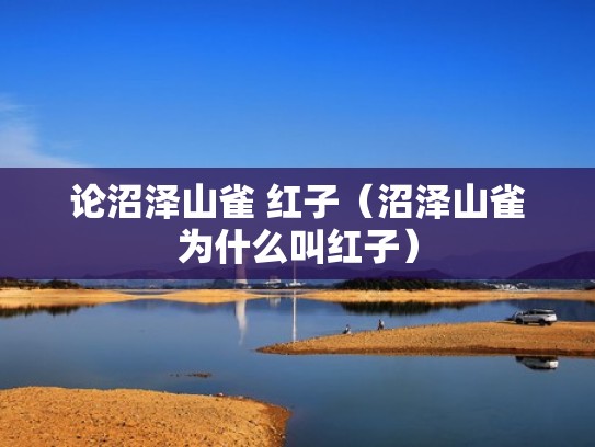 论沼泽山雀 红子（沼泽山雀为什么叫红子）