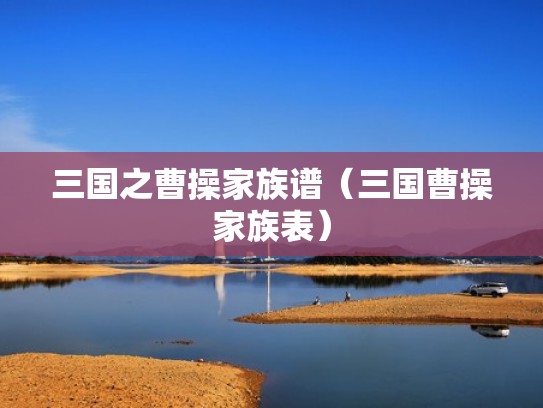 三国之曹操家族谱（三国曹操家族表）