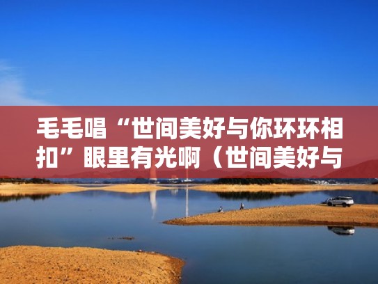 毛毛唱“世间美好与你环环相扣”眼里有光啊（世间美好与你环环相扣这首歌叫什么名字）