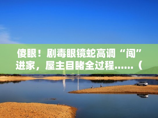 傻眼!剧毒眼镜蛇高调“闯”进家,屋主目睹全过程......(用眼镜蛇的毒毒眼镜蛇) 傻眼!剧毒眼镜蛇高调“闯”进家,屋主目睹全过程......(用眼镜蛇的毒毒眼镜蛇)