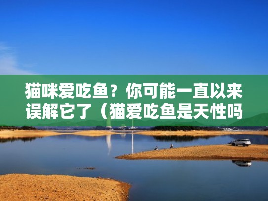 猫咪爱吃鱼？你可能一直以来误解它了（猫爱吃鱼是天性吗）