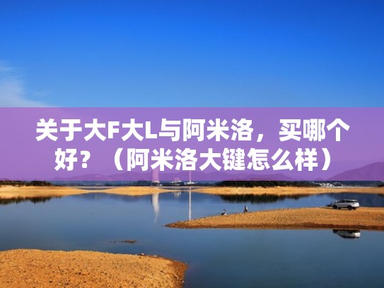 关于大F大L与阿米洛，买哪个好？（阿米洛大键怎么样）