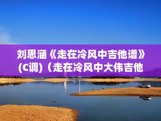 刘思涵《走在冷风中吉他谱》(C调)（走在冷风中大伟吉他谱）