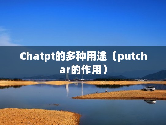 Chatpt的多种用途（putchar的作用）