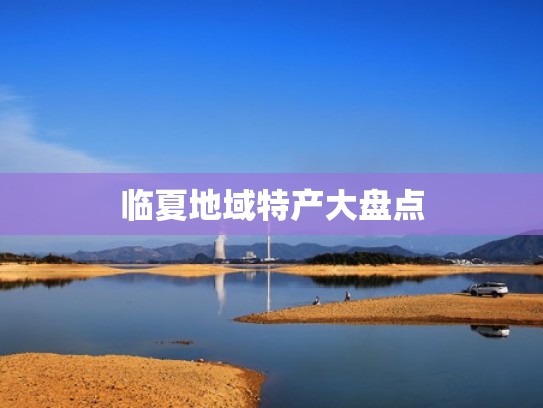 临夏地域特产大盘点