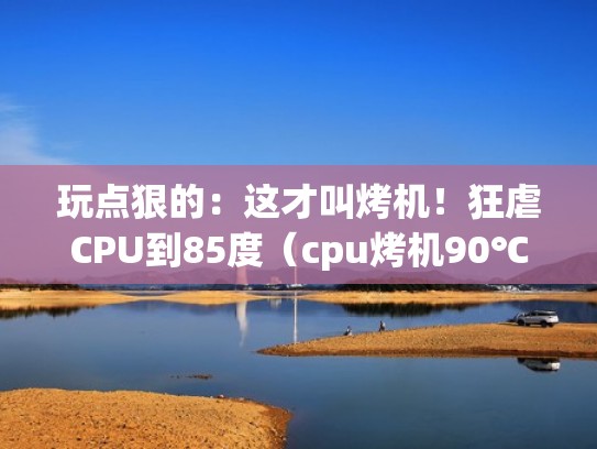 玩点狠的：这才叫烤机！狂虐CPU到85度（cpu烤机90℃要紧吗）
