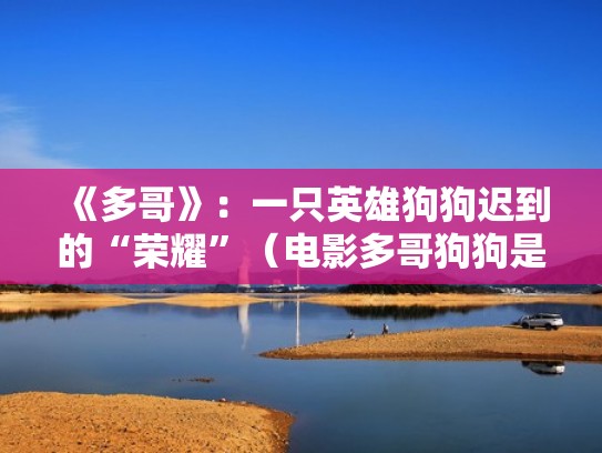 《多哥》：一只英雄狗狗迟到的“荣耀”（电影多哥狗狗是谁演的）