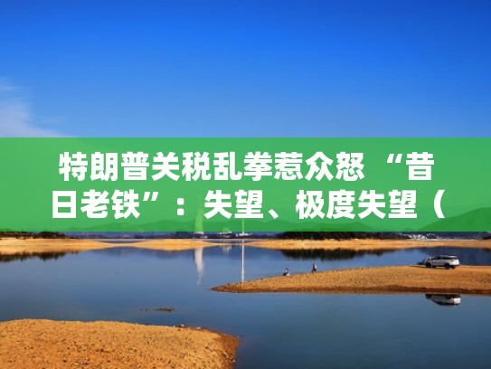 特朗普关税乱拳惹众怒 “昔日老铁”：失望、极度失望（特朗普宣布提高关税税率）