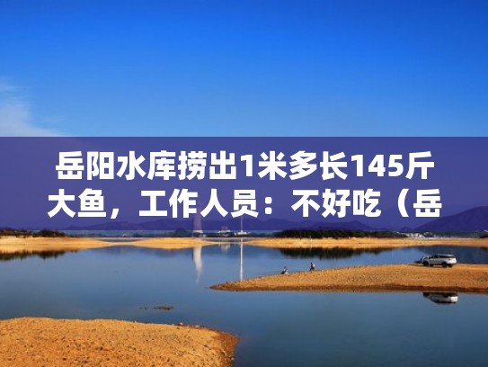 岳阳水库捞出1米多长145斤大鱼,工作人员:不好吃(岳阳钓场) 岳阳水库捞出1米多长145斤大鱼,工作人员:不好吃(岳阳钓场)