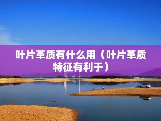 叶片革质有什么用（叶片革质特征有利于）