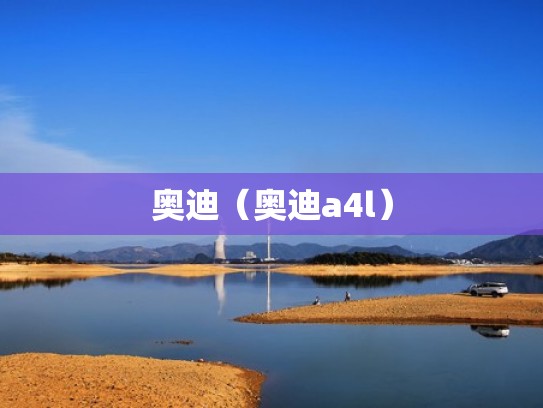 奥迪（奥迪a4l）