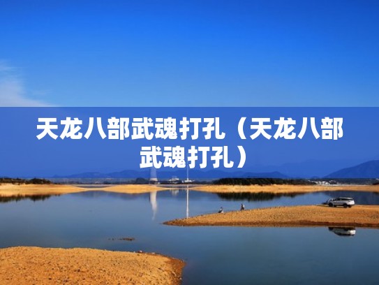 天龙八部武魂打孔（天龙八部 武魂打孔）