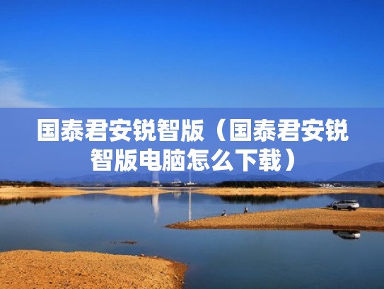 国泰君安锐智版（国泰君安锐智版电脑怎么下载）