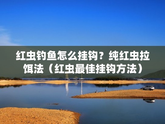 红虫钓鱼怎么挂钩？纯红虫拉饵法（红虫最佳挂钩方法）