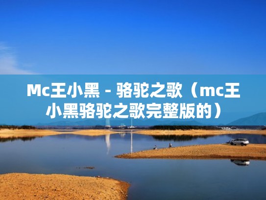 Mc王小黑 - 骆驼之歌（mc王小黑骆驼之歌完整版的）