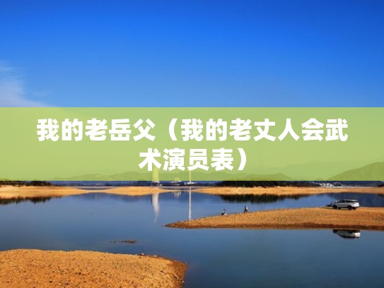 我的老岳父（我的老丈人会武术演员表）