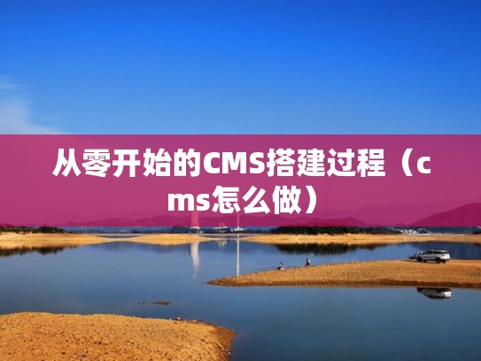 从零开始的CMS搭建过程（cms怎么做）