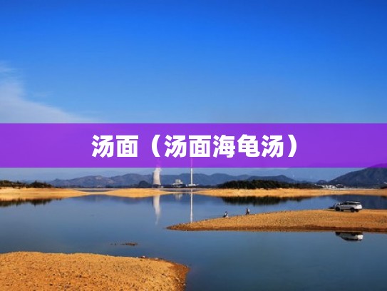 汤面（汤面海龟汤）