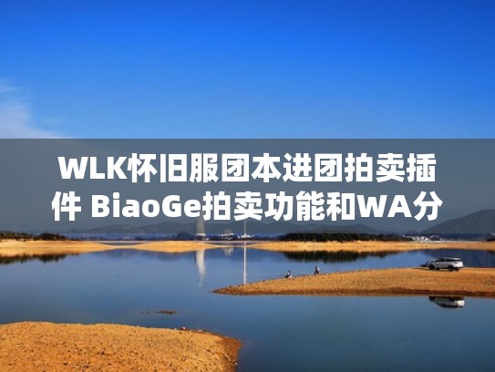 WLK怀旧服团本进团拍卖插件 BiaoGe拍卖功能和WA分享（tbc拍卖插件）