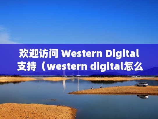 欢迎访问 Western Digital 支持（western digital怎么安装）