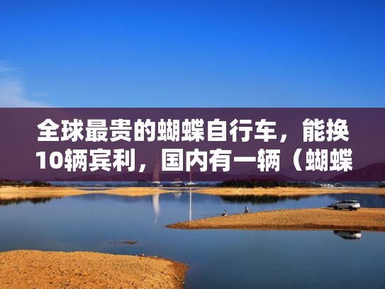 全球最贵的蝴蝶自行车,能换10辆宾利,国内有一辆(蝴蝶自行车值多少钱) 全球最贵的蝴蝶自行车,能换10辆宾利,国内有一辆(蝴蝶自行车值多少钱)