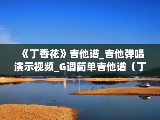 《丁香花》吉他谱_吉他弹唱演示视频_G调简单吉他谱（丁香花吉他弹唱谱子）