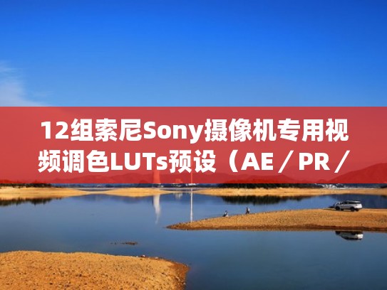 12组索尼Sony摄像机专用视频调色LUTs预设（AE／PR／FCPX／PS／达芬奇／OFX）（索尼摄像机画质设置）