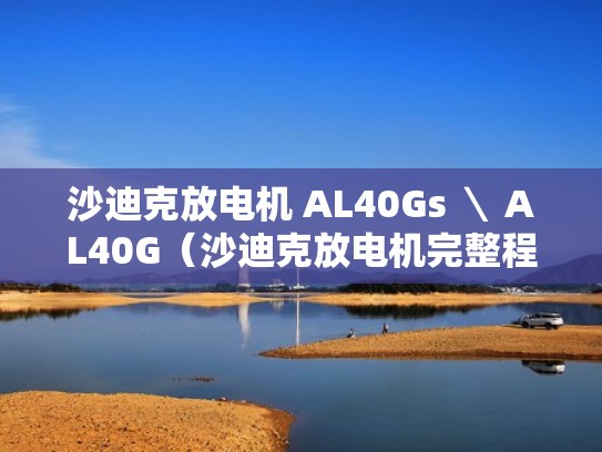 沙迪克放电机 AL40Gs ＼ AL40G（沙迪克放电机完整程式）