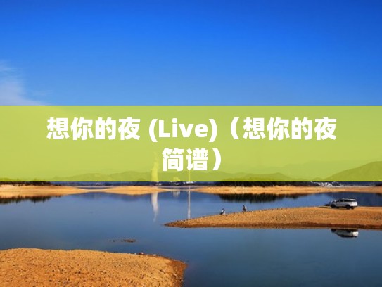 想你的夜 (Live)（想你的夜简谱）