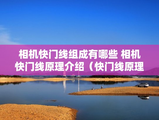 相机快门线组成有哪些 相机快门线原理介绍(快门线原理图) 相机快门线组成有哪些 相机快门线原理介绍(快门线原理图)