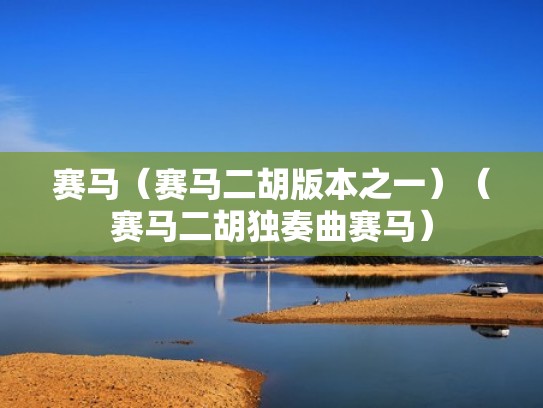 赛马（赛马二胡版本之一）（赛马二胡独奏曲赛马）