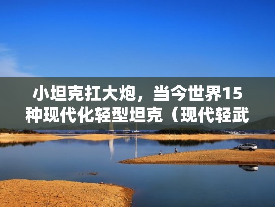 小坦克扛大炮，当今世界15种现代化轻型坦克（现代轻武器大全）