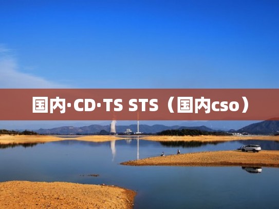 国内·CD·TS STS（国内cso）
