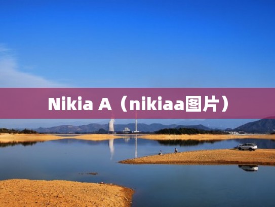 Nikia A（nikiaa图片）