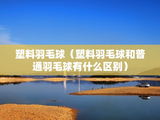 塑料羽毛球（塑料羽毛球和普通羽毛球有什么区别）