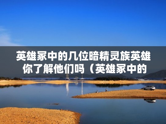 英雄冢中的几位暗精灵族英雄 你了解他们吗（英雄冢中的几位暗精灵族英雄 你了解他们吗）